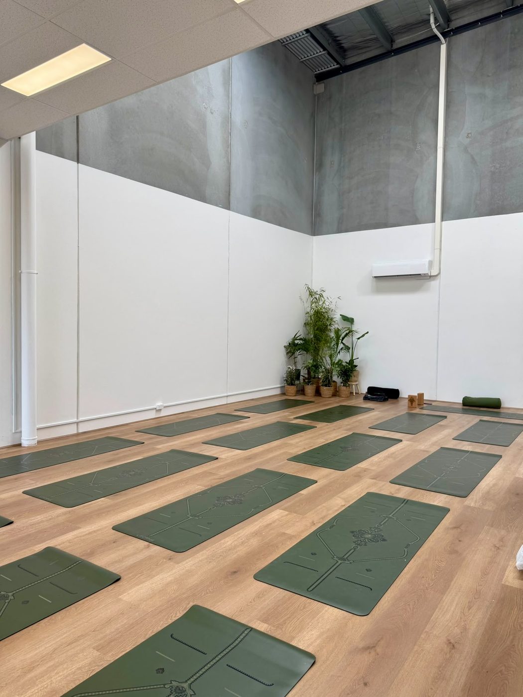 Studio room with plants